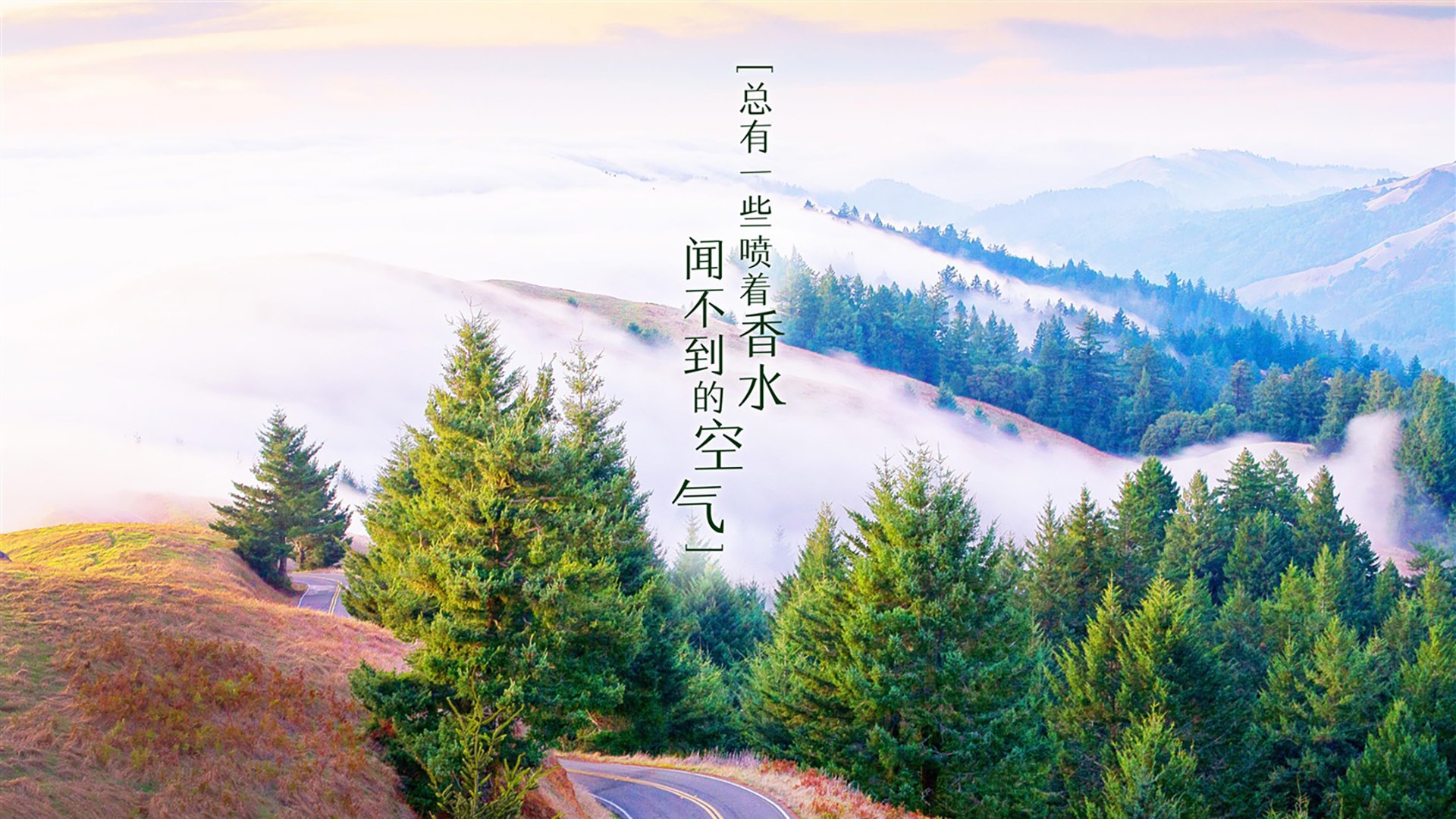 钢材批发属于什么行业类别的行业(钢材批发生意好做吗)